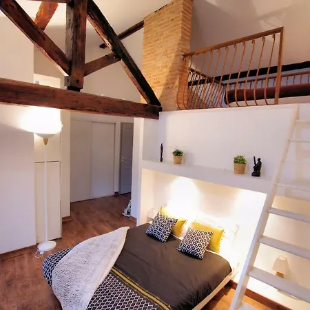 Apartment L'incroyable Vue Albi